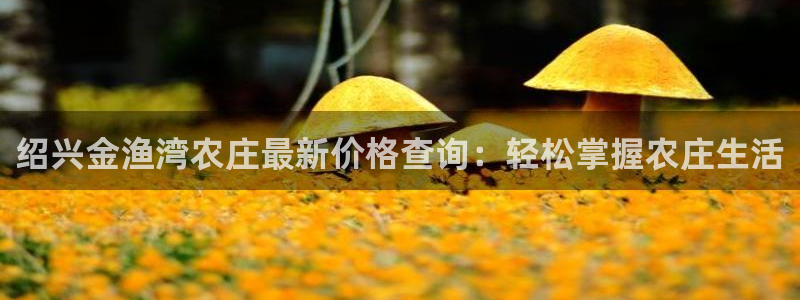 必一体育官方入口