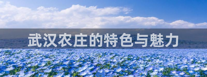 必一体育sport官方网站