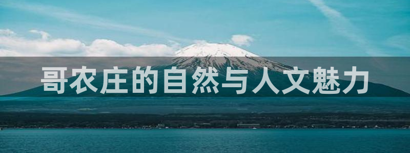 必一体育运动app