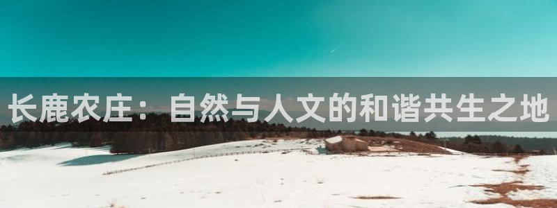 必一体育APP