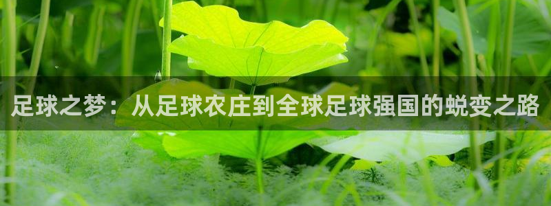 必一体育是哪里的台子