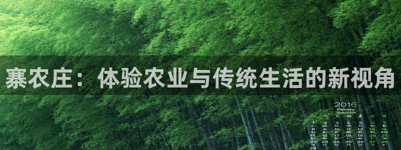 必一体育服下载最新版本更新内容