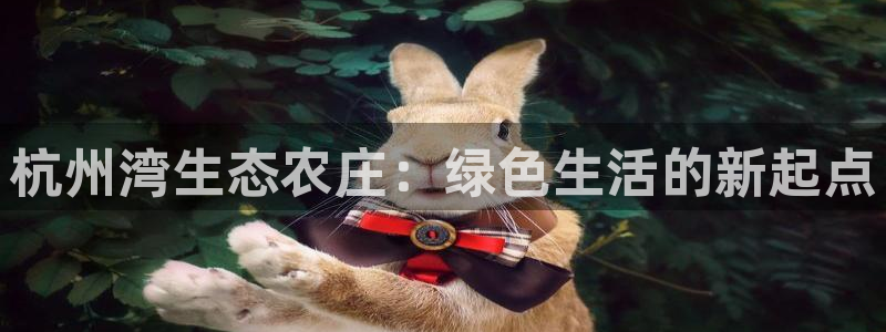 必一运动体育官网
