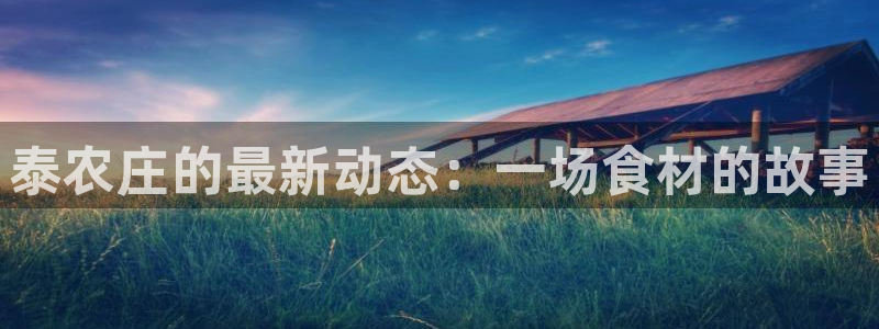 必一体育sport