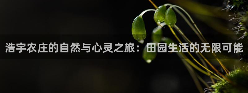 必一体育是哪里的台子