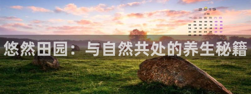 必一运动体育官网