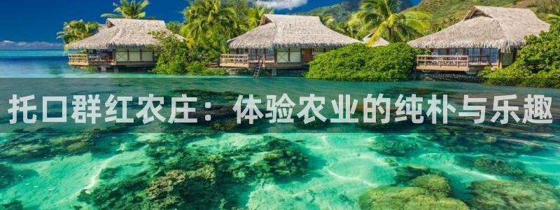 必一体育手机下载