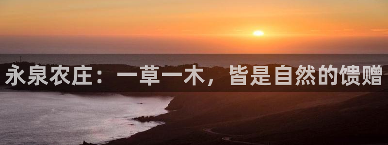 必一体育官方下载入口