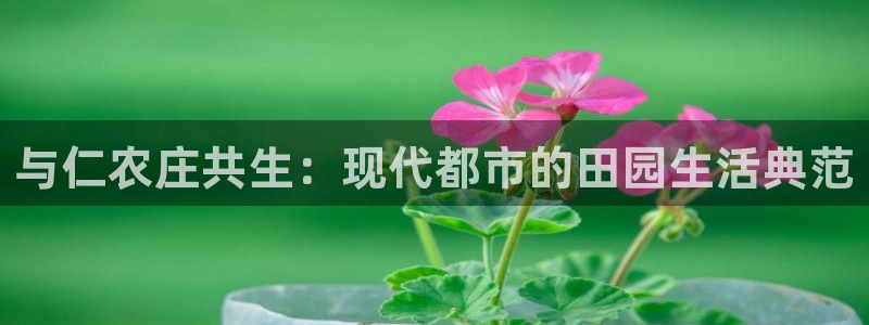 必一体育在线入口