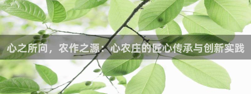 必一运动体育app