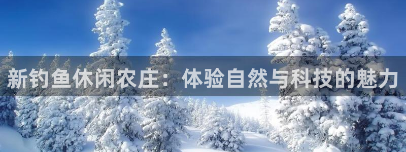 必一体育下载入口