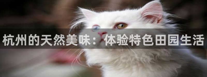 必一体育网页登陆