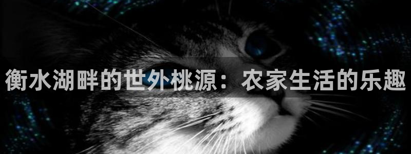 必一体育怎么下载