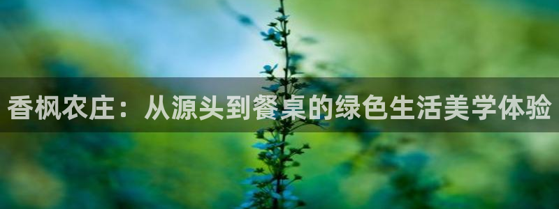 必一体育能提现大金额吗