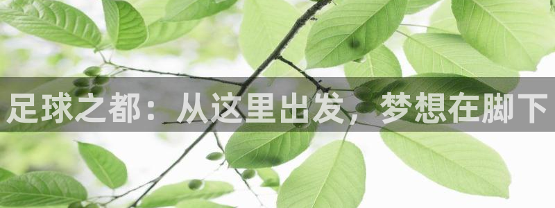 必一体育在线官网