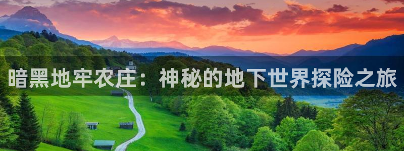 必一体育运动官网