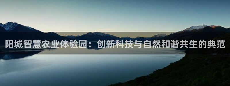 必一体育下载app