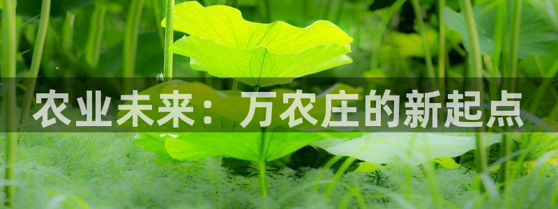 必一体育游戏玩法