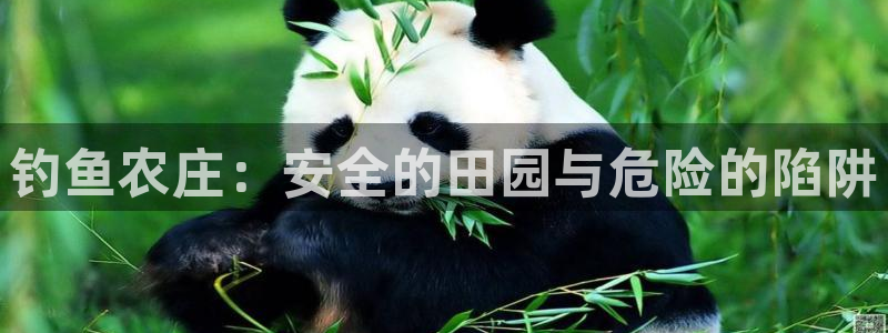 必一体育下载