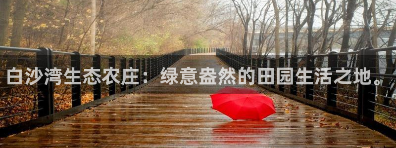 必一体育是啥