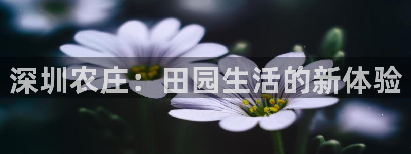 必一体育在线官网