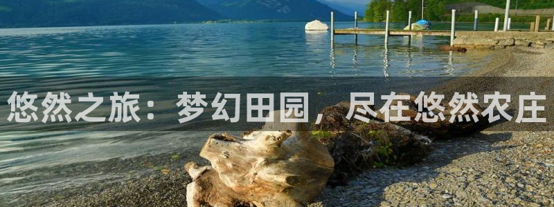 b体育官网下载入口app必一