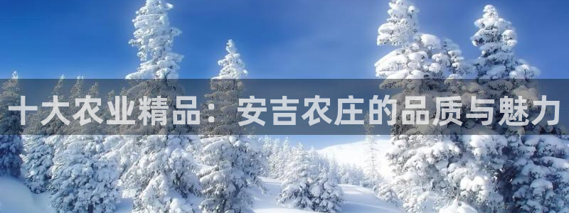 必一运动