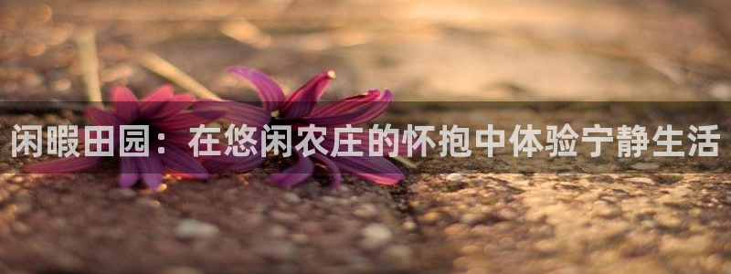 必一体育可靠吗