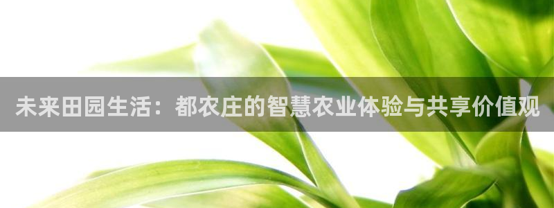 必一体育黑平台
