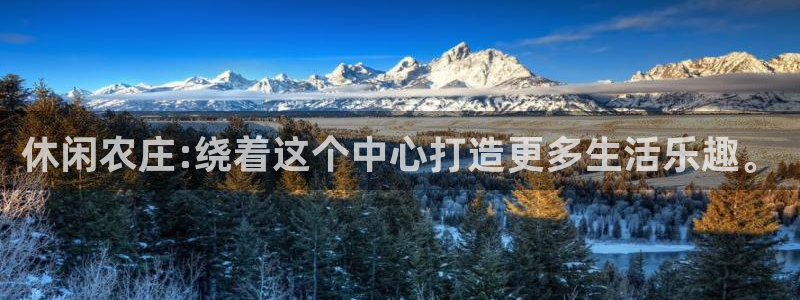 必一体育bsport下载