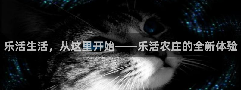 必一体育网页登陆