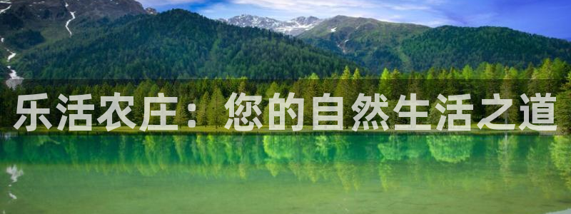 必一体育在线官网